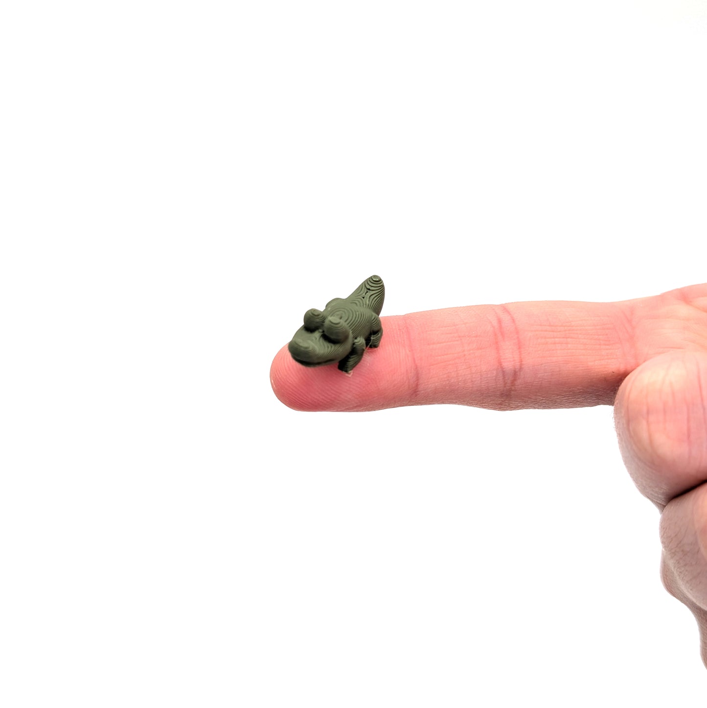 3D Alligators