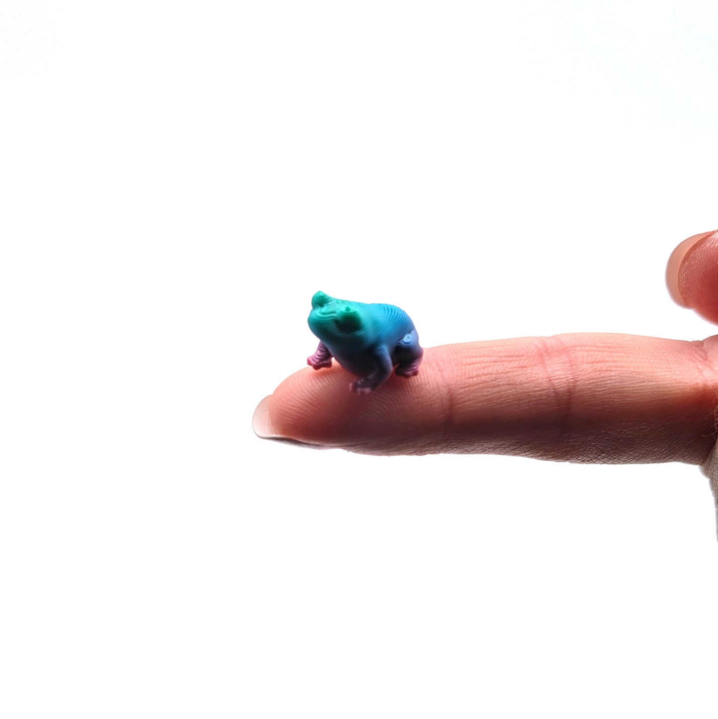 3D Tiny Frogs