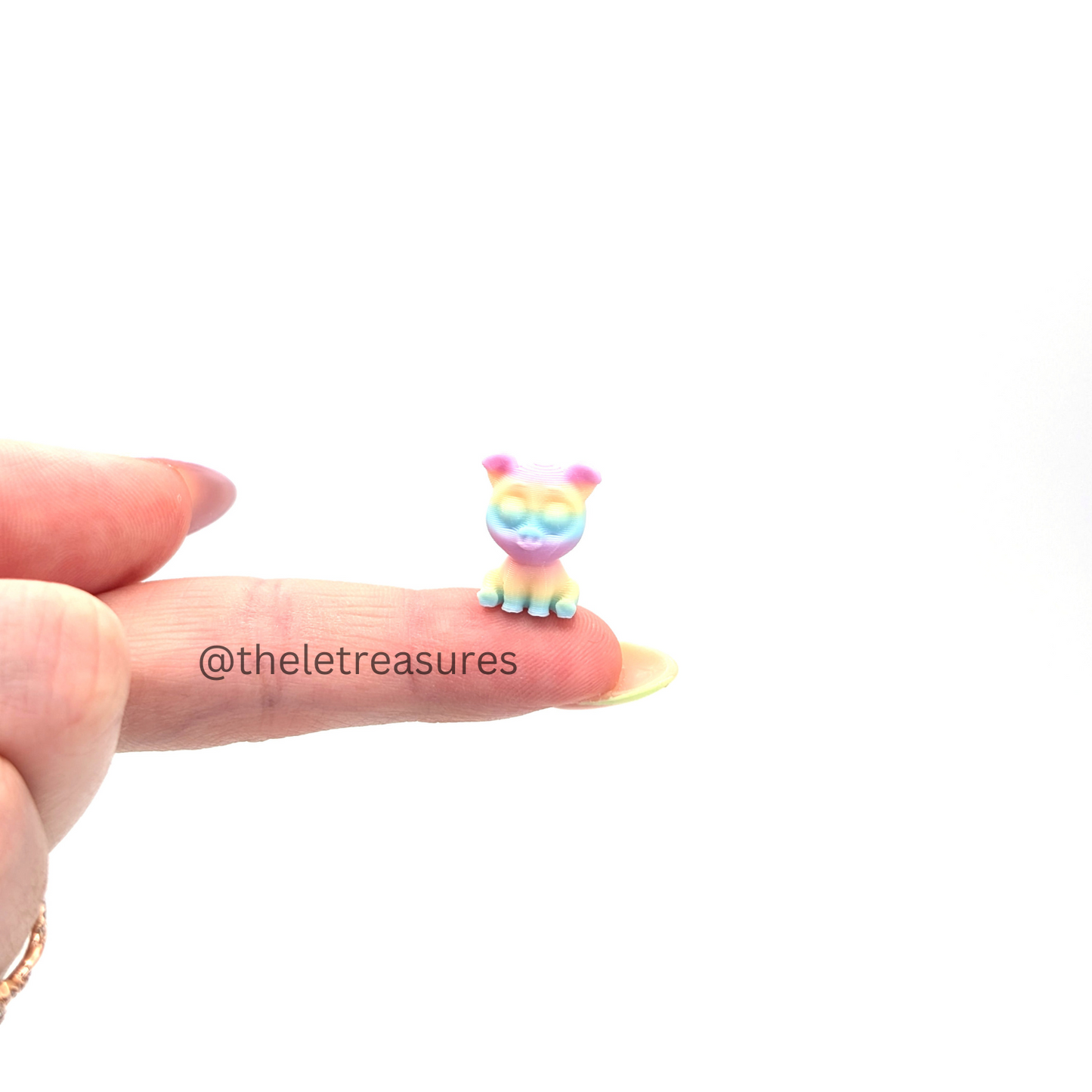 Pigs 3D Micros