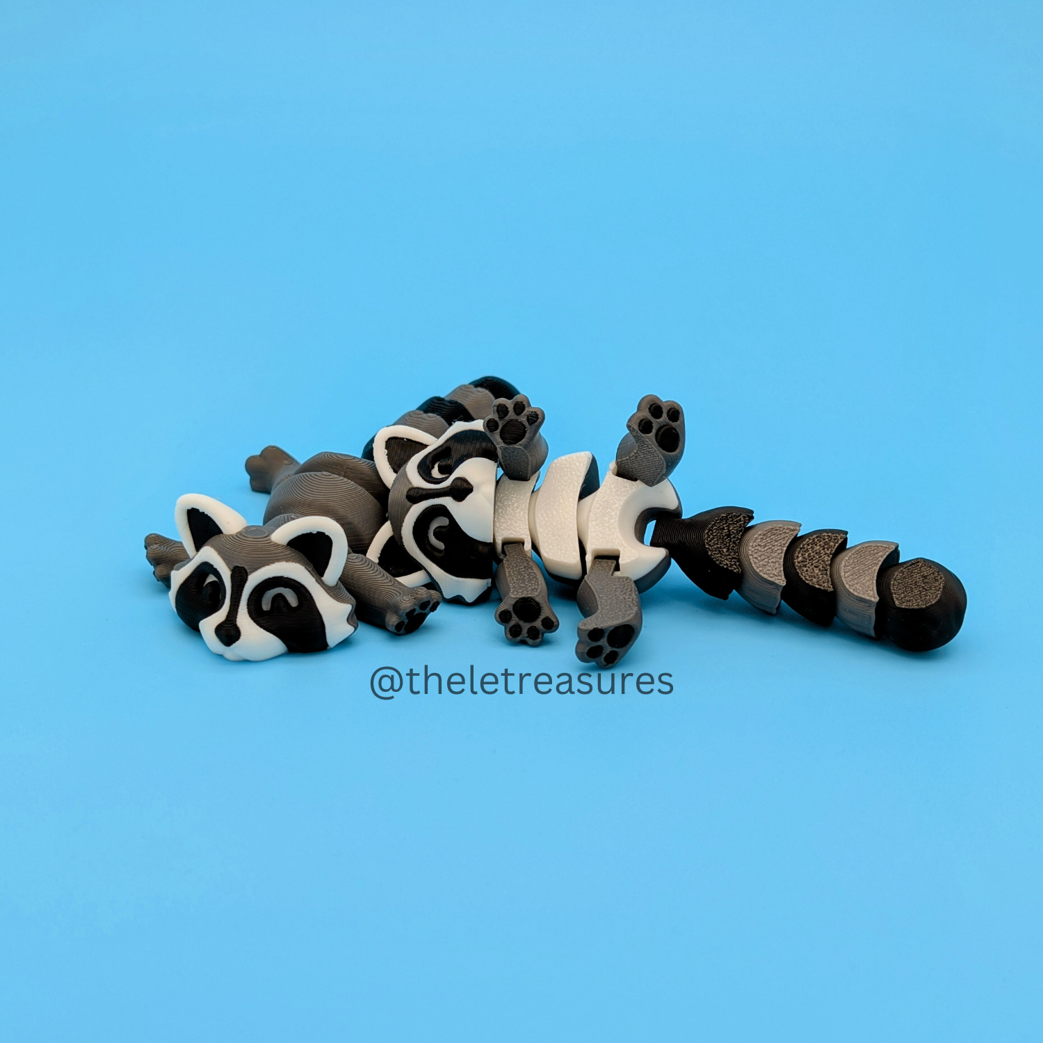 Raccoon
