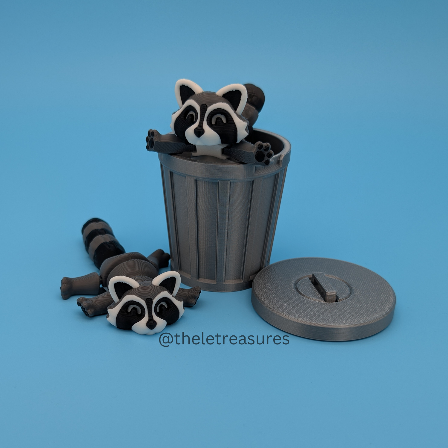 Raccoon