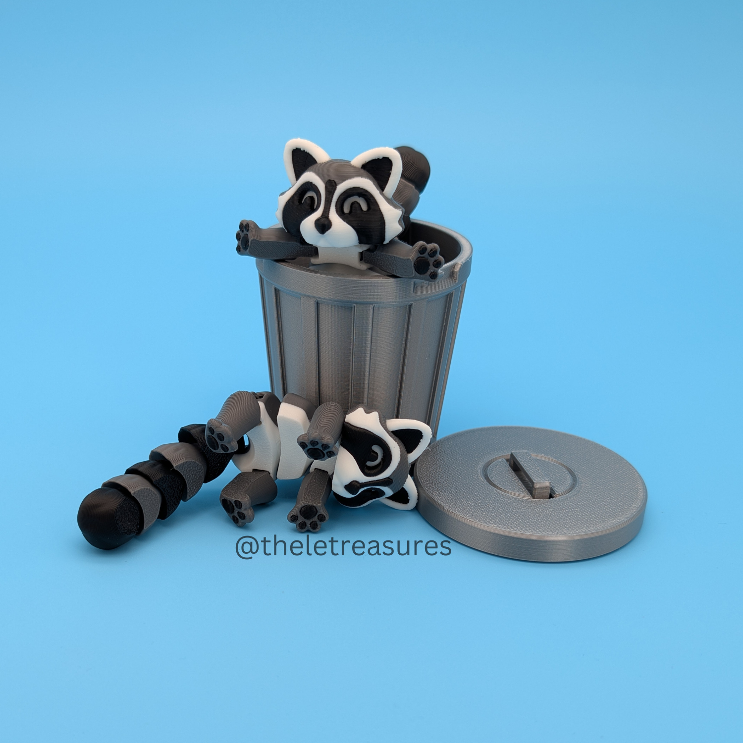 Raccoon