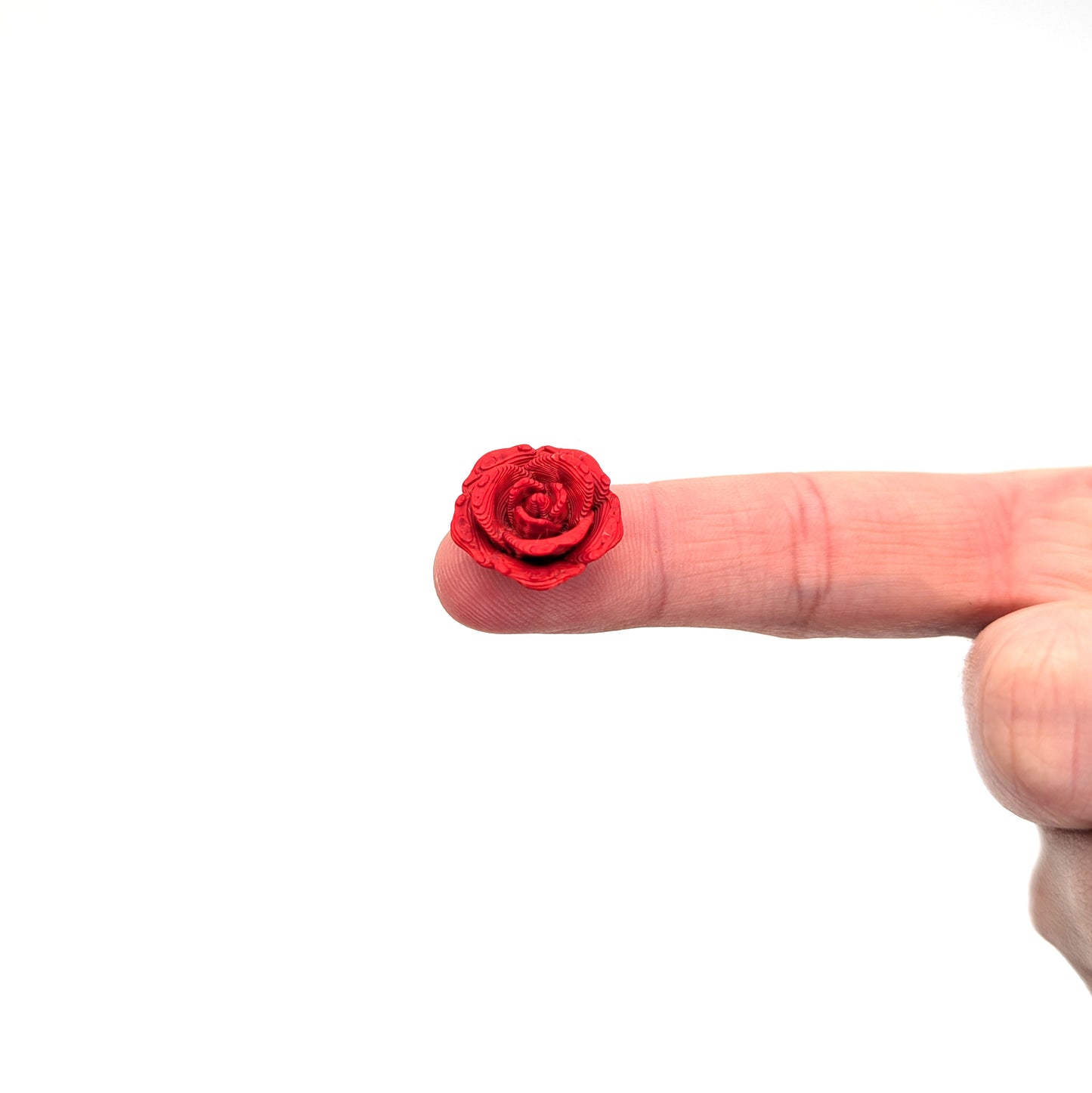3D  Micro Roses