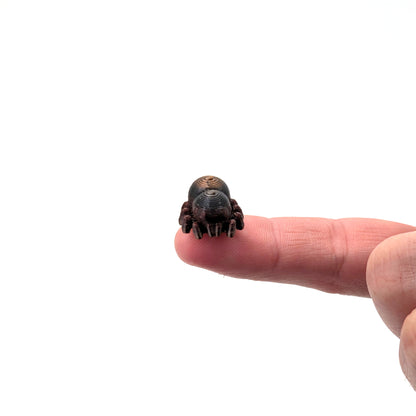 3D Tiny Spiders