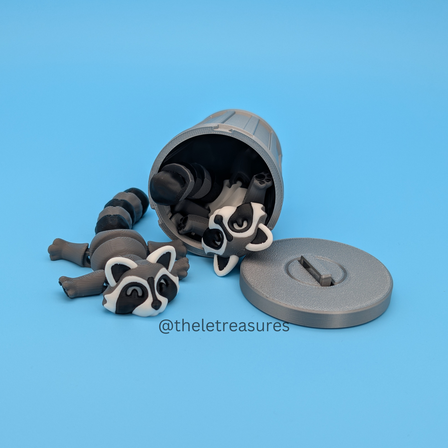 Raccoon