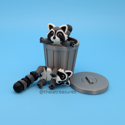 Raccoon