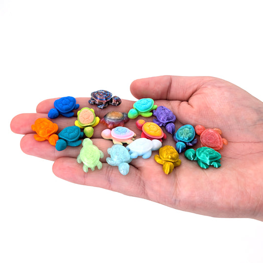 Slow & Steady Mini Turtles